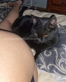 Анкета проститутки Арина - метро Таганский, возраст - 25